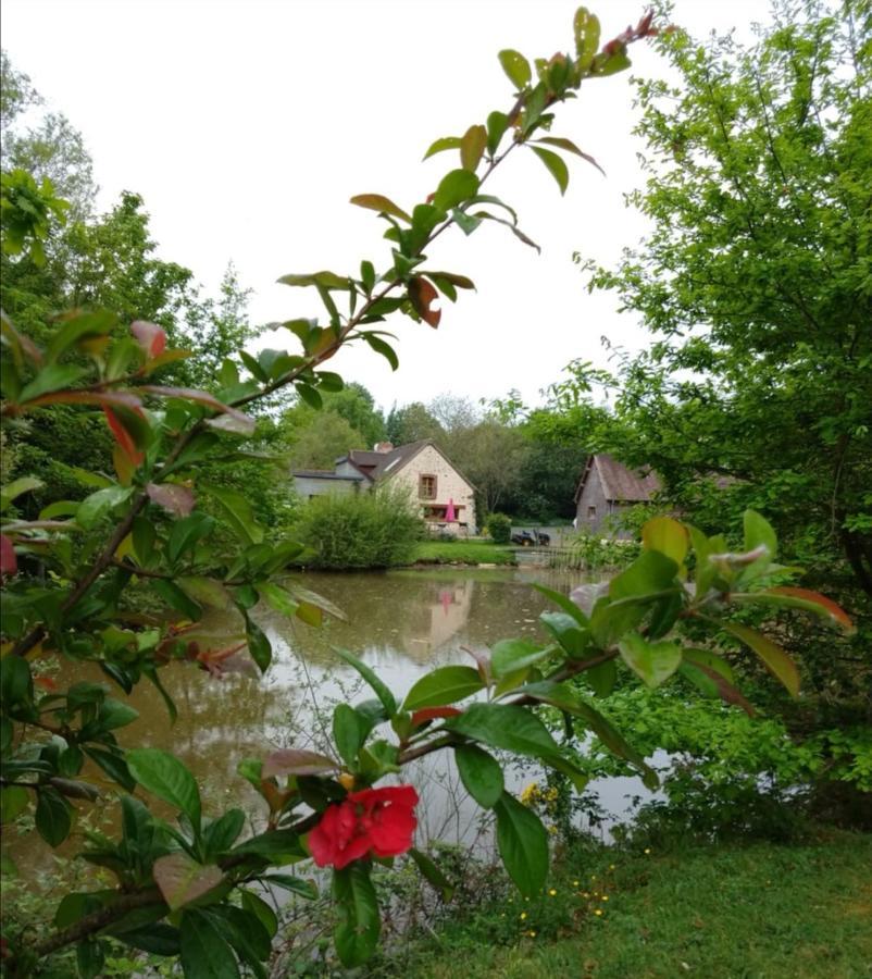 24H Le Mans - Les Haies Gite, Near Le Mans Circuit Villa Coulans-sur-Gee Bagian luar foto